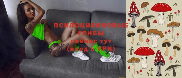apvp Дмитровск