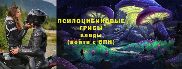 MDMA Дмитриев