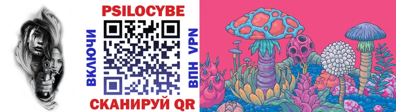 Купить где  Ядрин  Галлюциногенные грибы Cubensis 